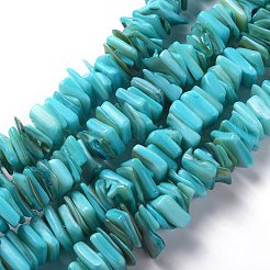 天然淡水シェルビーズ連売り  正方形  ミックスカラー  11~16.5x10~13x1~7mm  穴：1.2mm  約190個/連  14.96インチ（38cm）&nbsp;SHEL-C001-10