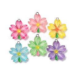 Transparent Resin Pendants&nbsp;RESI-A046-05H