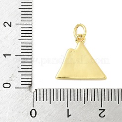 Brass Pendants&nbsp;KK-I276-67G