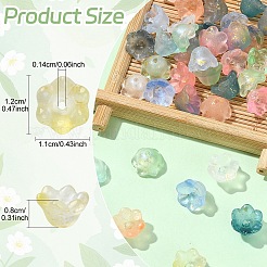 120色のフロストガラスビーズキャップ12個  6  - 花びらの花  金粉付き  ミックスカラー  11x12x8mm  穴：1.4mm  10個/カラー&nbsp;FGLA-YW0001-04