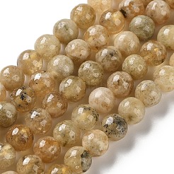 Natural Yellow Garnet Beads Strands&nbsp;G-Z129-C01-6mm-01