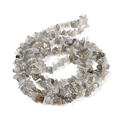 天然石ラブラドライトビーズ連売り  チップ  グレードA  3~10x3~5.5x2~4.5mm  穴：0.6mm  31.89''（81センチメートル）&nbsp;X-G-G0003-B43
