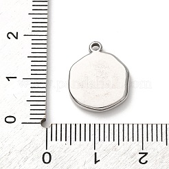 304 Stainless Steel Pendants&nbsp;STAS-I348-02P-02