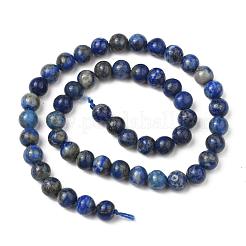 Natural Lapis Lazuli Bead Strands&nbsp;X-G-G953-01-8mm
