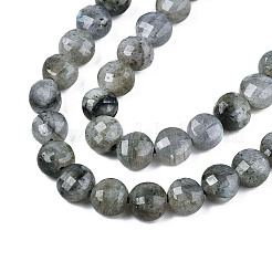 Natural Labradorite Beads Strands&nbsp;X-G-S354-24-A
