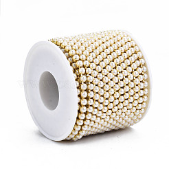 Brass Claw Chains&nbsp;CHC-Q012-SS16-01G