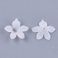 5枚の花弁透明アクリルビーズキャップ  艶消し  花  透明  20x21.5x5mm  穴：1.2mm&nbsp;X-FACR-T001-08