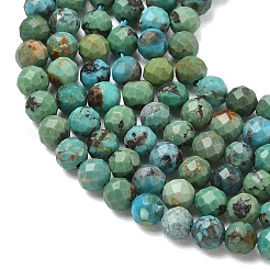 Natural HuBei Turquoise Beads Strands&nbsp;G-P629-A04-03