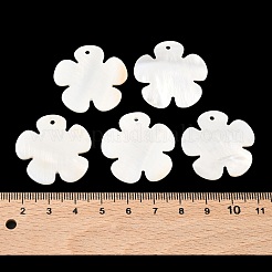 Shell Pendants&nbsp;PBB180Y
