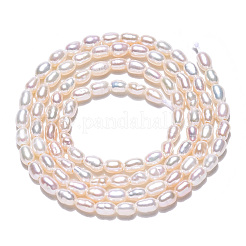 Natural Cultured Freshwater Pearl Beads Strands&nbsp;PEAR-N012-02K