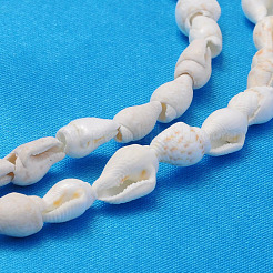 ナチュラルトランペットシェルビーズ連売り  ホワイト  6~13x4~8.5mm  穴：0.5~1mm  約115~160個/連  37~50インチ&nbsp;X-S02KI011