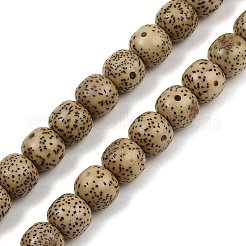 Natural Rudraksha Bodhi Seed Beads Strand&nbsp;WOOD-B010-A03-8x9mm