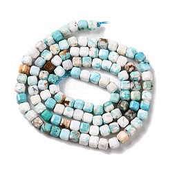 Natural Howlite Beads Strands&nbsp;G-G001-A03-08