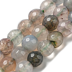 Natural Agate Beads Strands&nbsp;G-C082-A01-08
