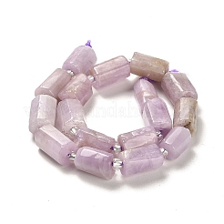 Natural Kunzite Beads Strands&nbsp;G-N327-06-36