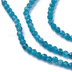 Natural Apatite Beads Strands&nbsp;G-F619-13B-3mm