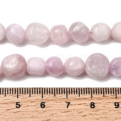 Natural Kunzite Beads Strands&nbsp;G-P601-A14-03