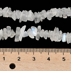天然レインボームーンストーンチップビーズ連売り  グレードA  3.5~12x3~9x1~5.5mm  穴：0.6~0.8mm  31.10~34.65インチ（79~88cm）&nbsp;G-C195-01