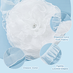 6M Organza Lace Trim Fabric&nbsp;SENE-HY0001-01A