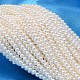 Round Shell Pearl Bead Strands&nbsp;BSHE-L011-3mm-A013-1