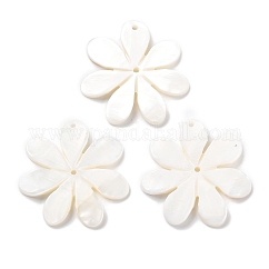 Natural Freshwater Shell Pendants, Flower Charm, Floral White, 35.5x35.5x3mm, Hole: 1.6mm