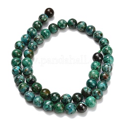 Natural Chrysocolla Beads Strands&nbsp;G-L642-B12-8mm