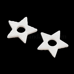 Opaque Resin Decoden Cabochons&nbsp;CRES-I036-03