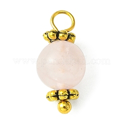 Natural Mixed Gemstone Round Charms&nbsp;PALLOY-JF02219
