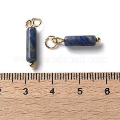 天然石ソーダライトペンダント  304ステンレススチールの丸カン付きコラムチャーム  ゴールドカラー  18.5~19x4~4.5mm  穴：3.5mm&nbsp;STAS-C120-01G-03