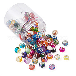 Handmade Lampwork European Large Hole Beads and Glass European Beads&nbsp;LPDL-TA0001-01S