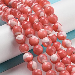 Dyed Natural Trochus Shell Beads Strands&nbsp;BSHE-G034-25A