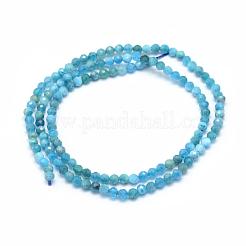Natural Apatite Beads Strands&nbsp;G-E411-36-3mm