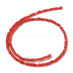 天然淡水シェルビーズ連売り  染め  ロンデル  レッド  3x2mm  穴：0.5mm  約183~186個/連  14.96''（38センチメートル）&nbsp;SHEL-P017-01B-07