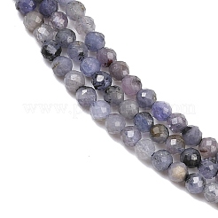 Natural Tanzanite Beads Strands&nbsp;G-C255-A01-3mm