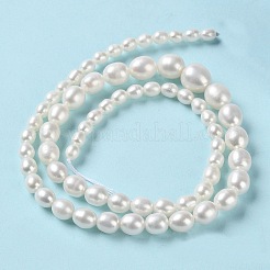 天然養殖淡水パールビーズ連売り  グラデーションポテト  パパイヤホイップ  5~10x4~9mm  穴：0.5mm  約65個/連  16.14~16.26''（41~41.3センチメートル）&nbsp;PEAR-E018-68