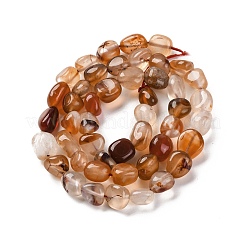 Natural Red Agate Beads Strands&nbsp;LS-G-G146-A25-01