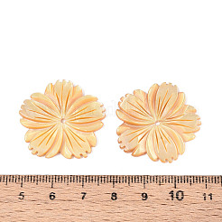 Natural Yellow Shell Carved Pendants&nbsp;BSHE-T014-12
