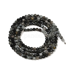 Natural Eagle Eye Stone Beads Strands&nbsp;G-RM250101-E6
