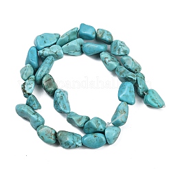 Natural Howlite Beads Strands&nbsp;G-N0312-01D