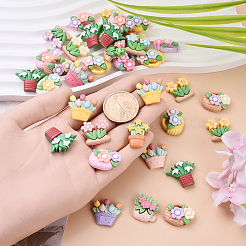 60Pcs 3 Styles Opaque Resin Cabochons&nbsp;RESI-YW0002-02