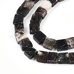 Natural Biotite Beads Strands&nbsp;G-N346-05A-01