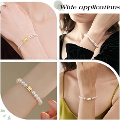 6個 6スタイル 304ステンレススチール 折りたたみ式留め具  オーバル  ミックスカラー  18~23x6.5~11x3~3.5mm  穴：2.5~4x2~5mm  1個/スタイル&nbsp;STAS-PH0006-09