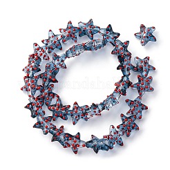 Handmade Lampwork Beads Strands&nbsp;LAMP-I027-09J