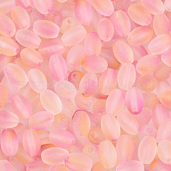 Frosted Glass Seed Beads&nbsp;SEED-N008-05B