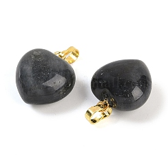 Natural Labradorite Pendants&nbsp;G-J386-H15-G