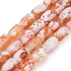 Natural Agate(Dyed & Heated ) Beads Strands&nbsp;G-D341-A01
