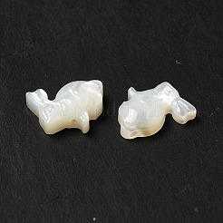 ナチュラルホワイトシェルビーズ  兎  貝殻色  11x11x3.5mm  穴：0.7mm&nbsp;BSHE-E026-08