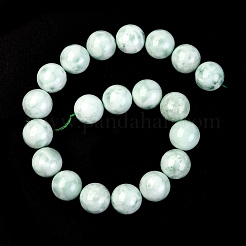 Natural Glass Beads Strands&nbsp;G-I247-31H