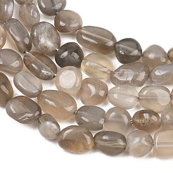 Natural Grey Moonstone Beads Strands&nbsp;G-G464-A02-02