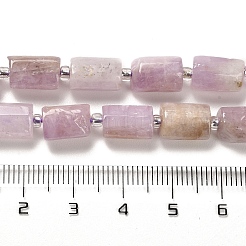 Natural Kunzite Beads Strands&nbsp;G-N327-06-36